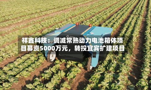 祥鑫科技：调减常熟动力电池箱体项目募资5000万元，转投宜宾扩建项目-第2张图片