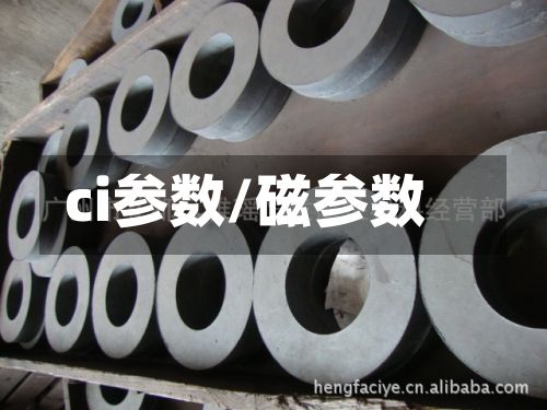 ci参数/磁参数