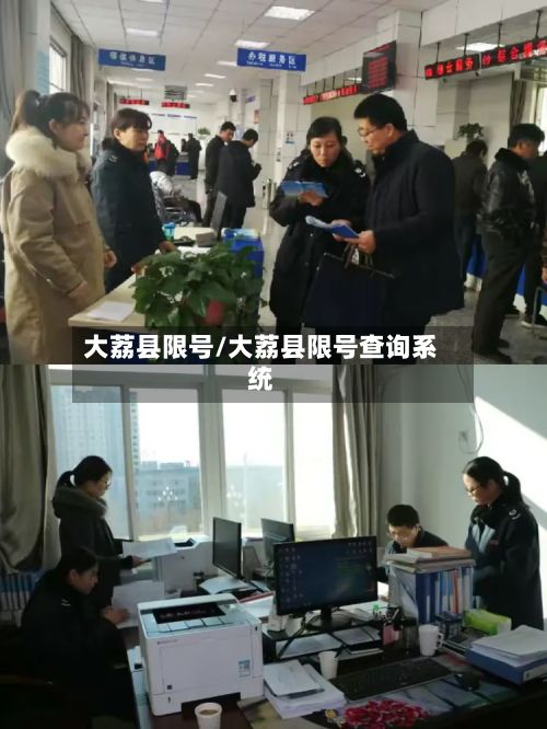 大荔县限号/大荔县限号查询系统-第2张图片