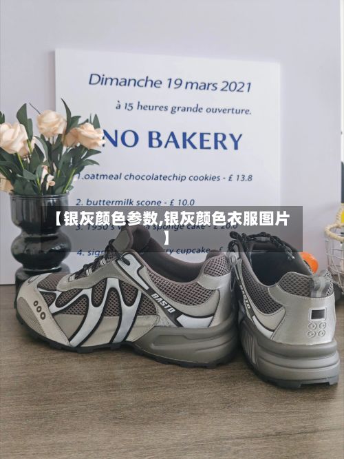 【银灰颜色参数,银灰颜色衣服图片】-第2张图片