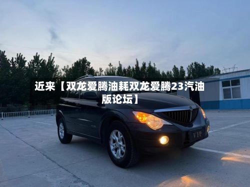 近来【双龙爱腾油耗双龙爱腾23汽油版论坛】-第2张图片