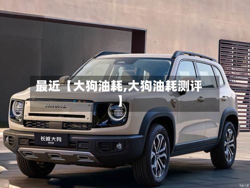 最近【大狗油耗,大狗油耗测评】-第2张图片