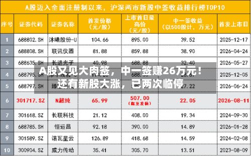 A股又见大肉签，中一签赚26万元！还有新股大涨，已两次临停