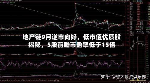 地产链9月逆市向好，低市值优质股揭秘，5股前瞻市盈率低于15倍