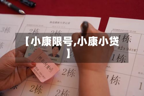 【小康限号,小康小贷】-第3张图片