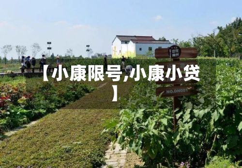 【小康限号,小康小贷】