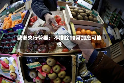 欧洲央行管委：不排除10月加息可能性-第2张图片