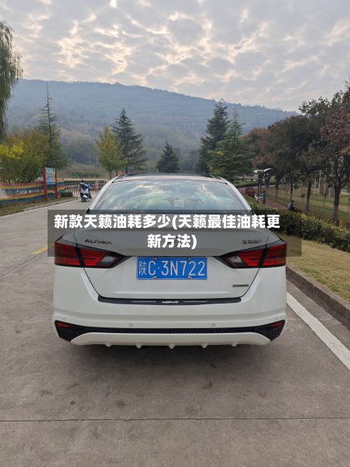 新款天籁油耗多少(天籁最佳油耗更新方法)