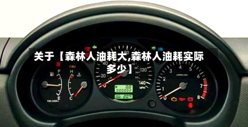 关于【森林人油耗大,森林人油耗实际多少】-第1张图片