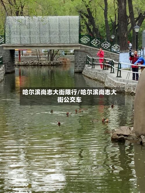 哈尔滨尚志大街限行/哈尔滨尚志大街公交车-第1张图片