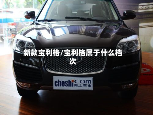 新款宝利格/宝利格属于什么档次