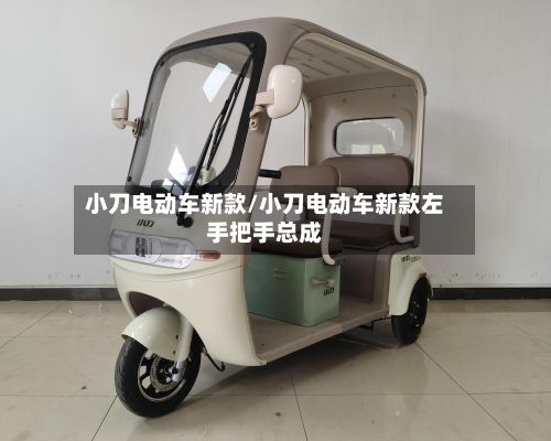 小刀电动车新款/小刀电动车新款左手把手总成-第1张图片