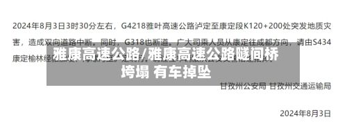 雅康高速公路/雅康高速公路隧间桥垮塌 有车掉坠