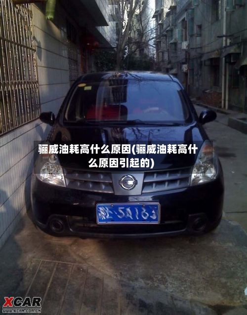 骊威油耗高什么原因(骊威油耗高什么原因引起的)