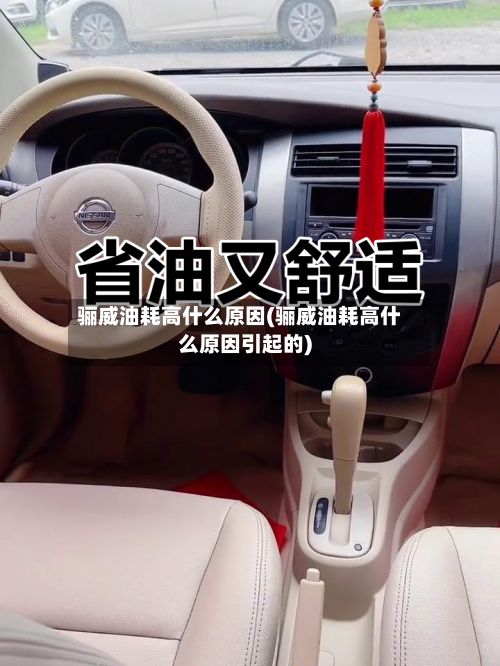 骊威油耗高什么原因(骊威油耗高什么原因引起的)-第2张图片