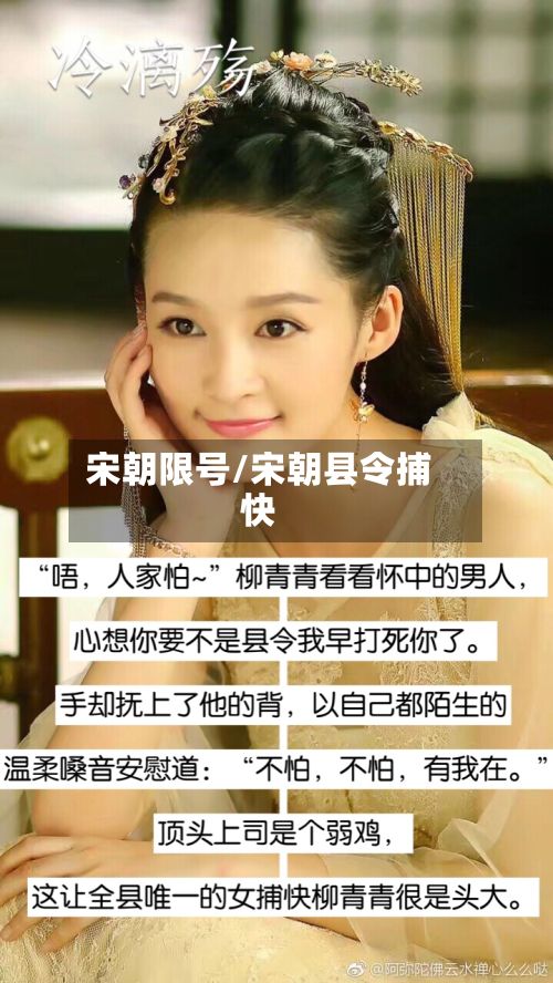 宋朝限号/宋朝县令捕快