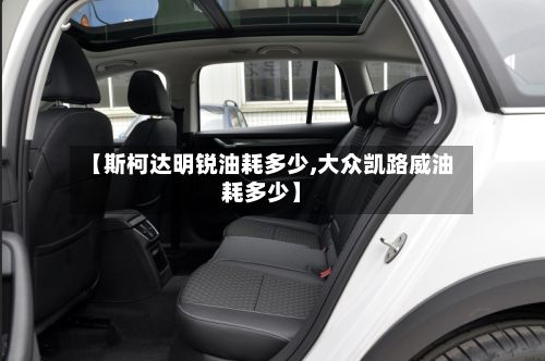【斯柯达明锐油耗多少,大众凯路威油耗多少】