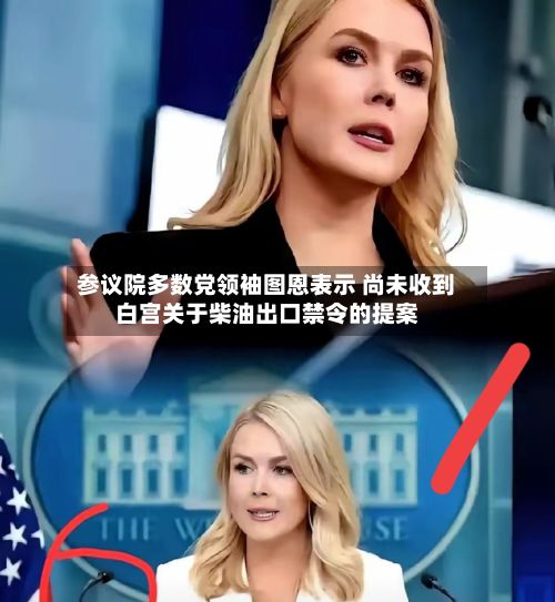 参议院多数党领袖图恩表示 尚未收到白宫关于柴油出口禁令的提案-第2张图片