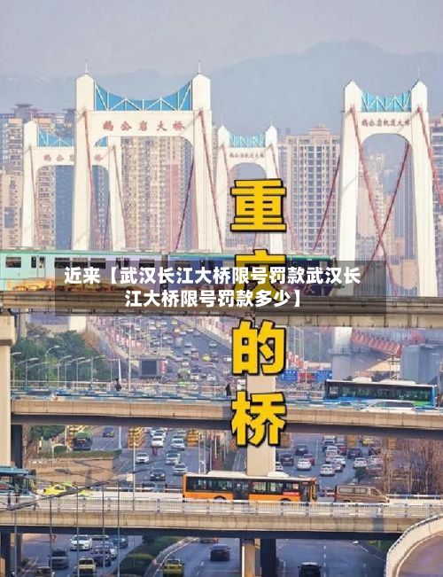 近来【武汉长江大桥限号罚款武汉长江大桥限号罚款多少】-第2张图片