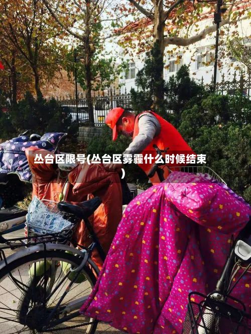 丛台区限号(丛台区雾霾什么时候结束)-第1张图片
