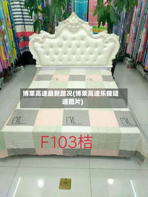 博莱高速最新路况(博莱高速乐疃隧道图片)