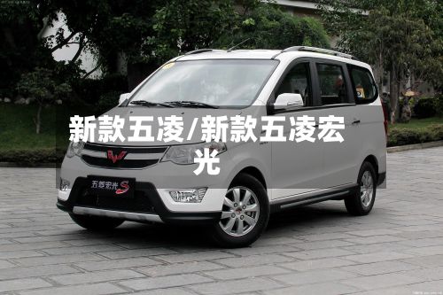 新款五凌/新款五凌宏光-第2张图片
