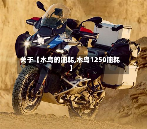 关于【水鸟的油耗,水鸟1250油耗】-第2张图片