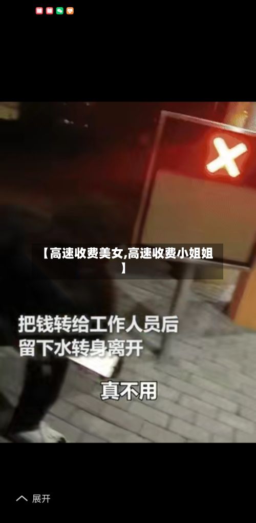 【高速收费美女,高速收费小姐姐】-第2张图片
