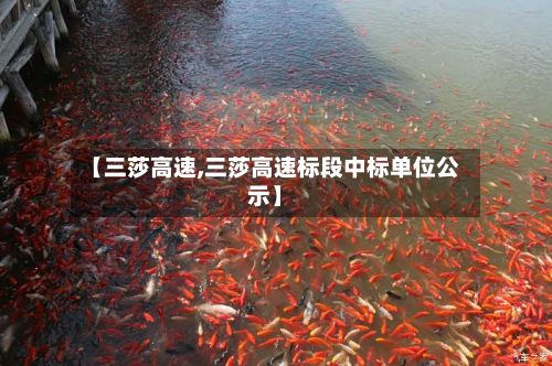 【三莎高速,三莎高速标段中标单位公示】