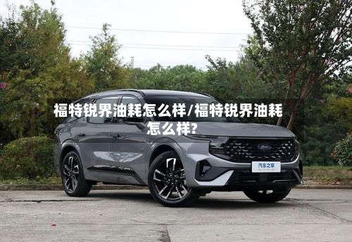 福特锐界油耗怎么样/福特锐界油耗怎么样?-第3张图片