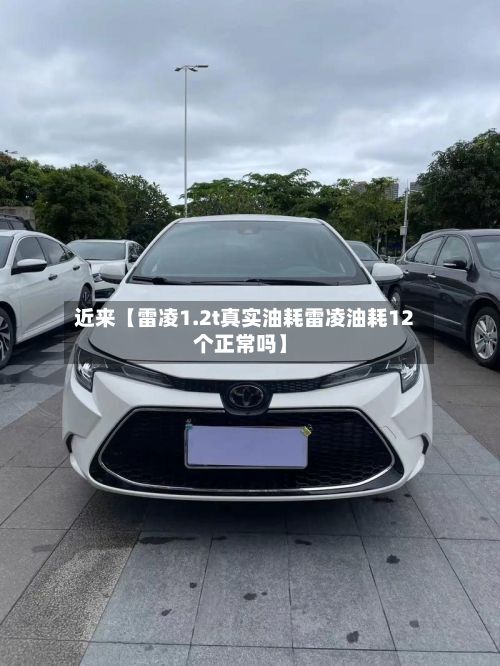 近来【雷凌1.2t真实油耗雷凌油耗12个正常吗】-第2张图片