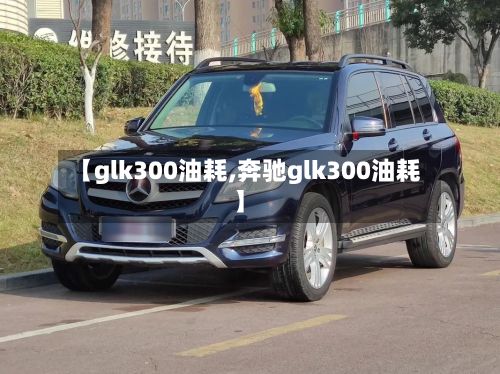 【glk300油耗,奔驰glk300油耗】