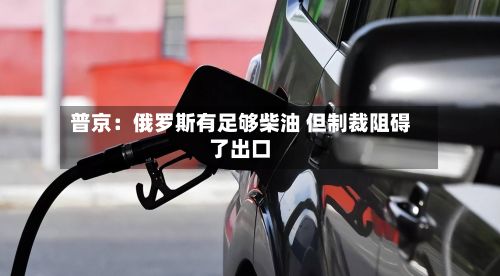 普京：俄罗斯有足够柴油 但制裁阻碍了出口-第2张图片
