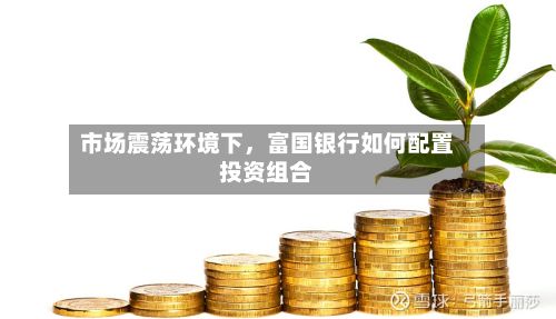 市场震荡环境下，富国银行如何配置投资组合