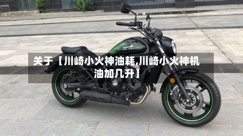 关于【川崎小火神油耗,川崎小火神机油加几升】-第3张图片
