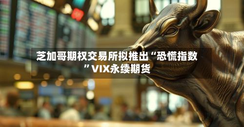 芝加哥期权交易所拟推出“恐慌指数”VIX永续期货-第2张图片