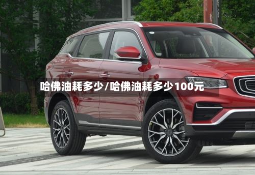 哈佛油耗多少/哈佛油耗多少100元-第2张图片