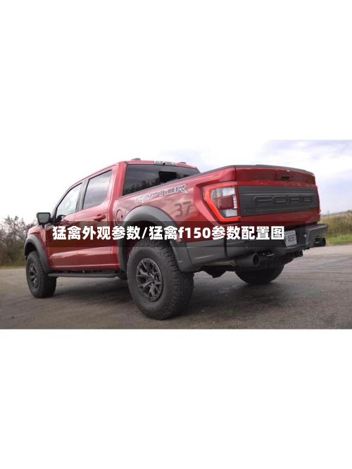猛禽外观参数/猛禽f150参数配置图