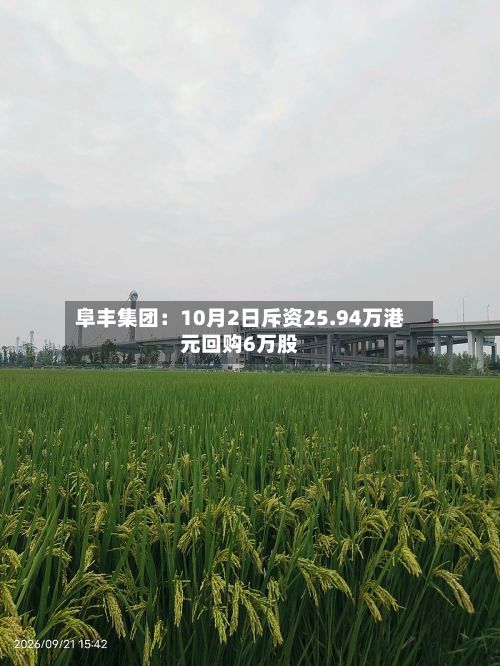 阜丰集团:10月2日斥资25.94万港元回购6万股-第2张图片