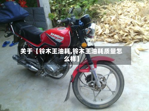 关于【铃木王油耗,铃木王油耗质量怎么样】