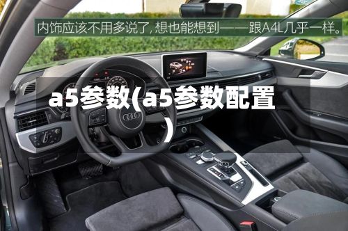 a5参数(a5参数配置)