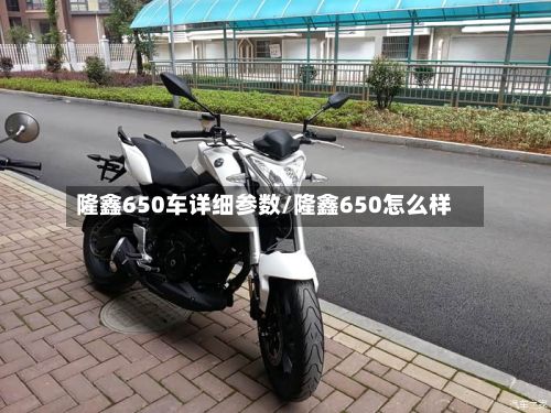 隆鑫650车详细参数/隆鑫650怎么样