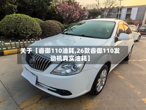 关于【睿御110油耗,26款睿御110发动机真实油耗】-第2张图片