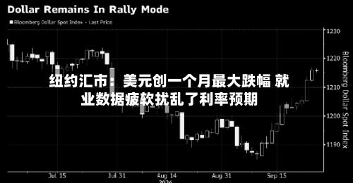 纽约汇市：美元创一个月最大跌幅 就业数据疲软扰乱了利率预期