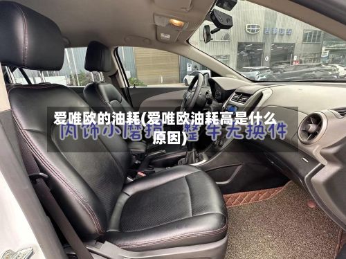 爱唯欧的油耗(爱唯欧油耗高是什么原因)-第3张图片