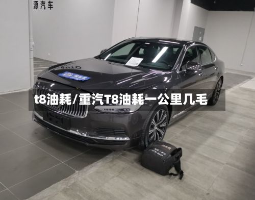 t8油耗/重汽T8油耗一公里几毛