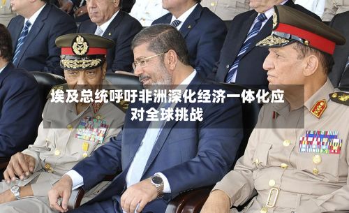 埃及总统呼吁非洲深化经济一体化应对全球挑战