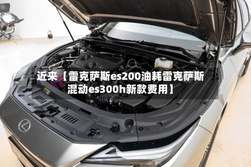 近来【雷克萨斯es200油耗雷克萨斯混动es300h新款费用】-第3张图片