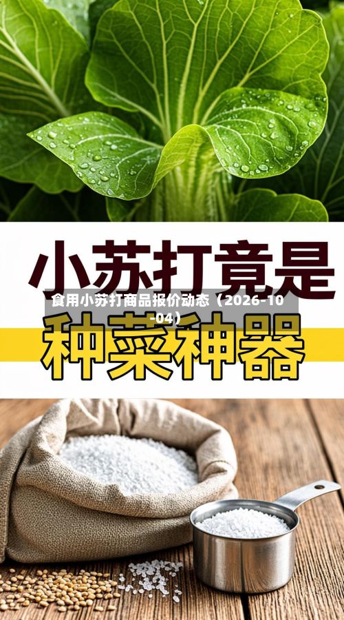 食用小苏打商品报价动态（2026-10-04）