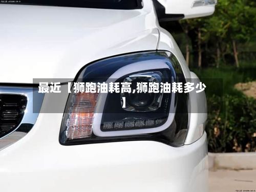最近【狮跑油耗高,狮跑油耗多少】-第2张图片